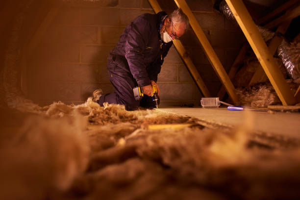 Best Insulation Installation Services in Louisa, KY